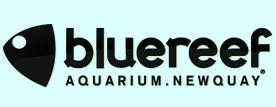 Blue Reef Aquarium Cornwall